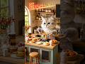 ミニチュアハウスで鍋料理を披露する猫｜癒しネコ｜ねこだらけ｜The猫 #料理 #ミニチュアハウス