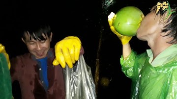 A.Tý mưu sinh bằng nghề bắt rắn đêm rất rùng rợn | catch the snake night | Bông lúa Miền Tây