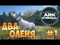 Два ОЛЕНЯ - ARK Survival Evolved Eternal #1