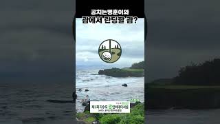 이벤트 배너