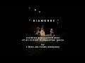 Capture de la vidéo " Diamonds "  Creation And Performance Of An Instant  Composition Piece  By L' Âme-De-Fonds  Company