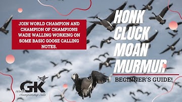 Goose Calling - Beginners Guide to Honk, Cluck, Moan, Murmur (with World Champion Wade Walling)