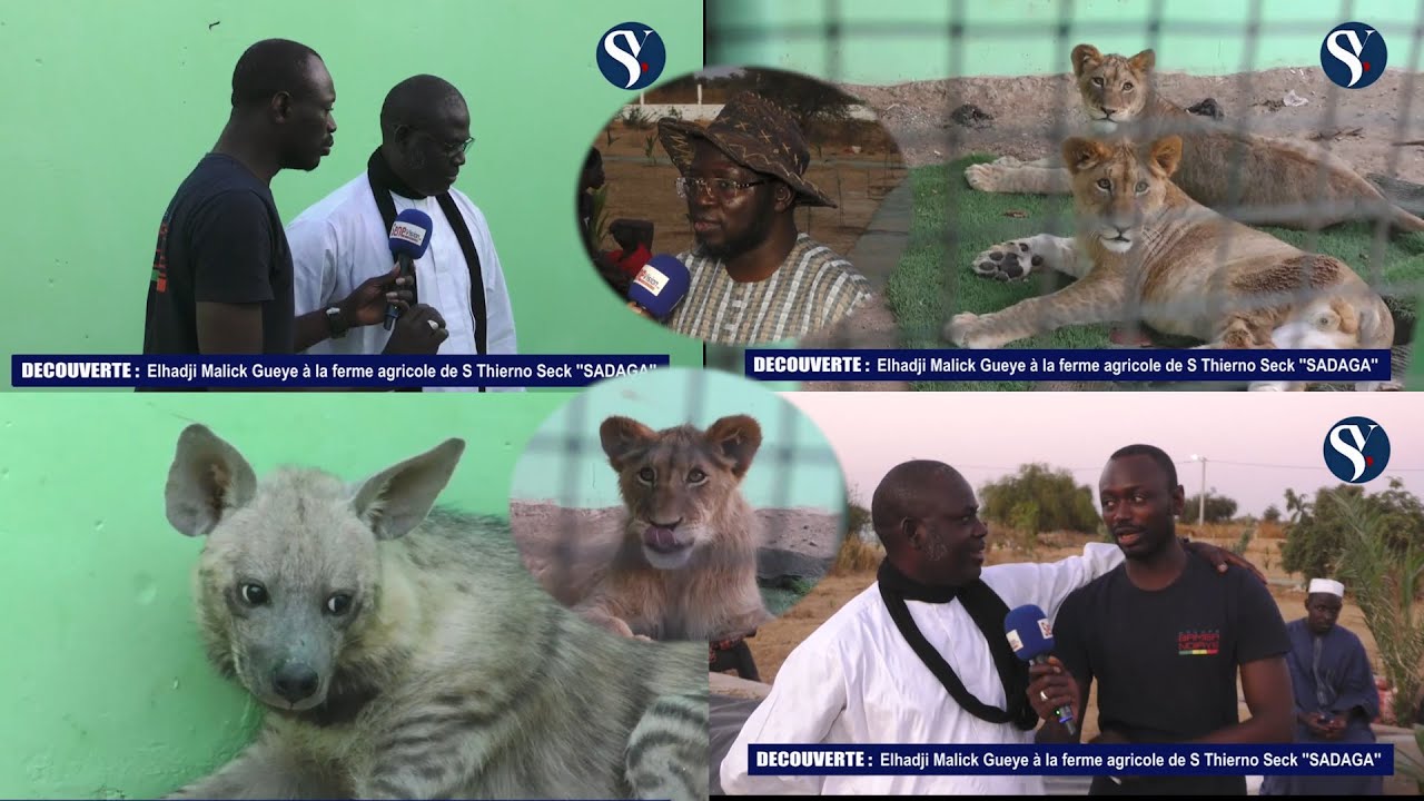 2 éme Partie Suivez, Découverte Elhadji Malick Gueye à la ferme agricole de Sr Thierno Seck Sadaga