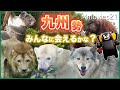 九州縦断2泊3日動物園めぐり~福岡・熊本・鹿児島の人気者たち Animals & foods in Kyushu