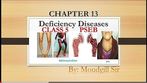 CLASS 5 EVS CHAPTER 13 DEFICIENCY DISEASES BY MOUDGILL SIR