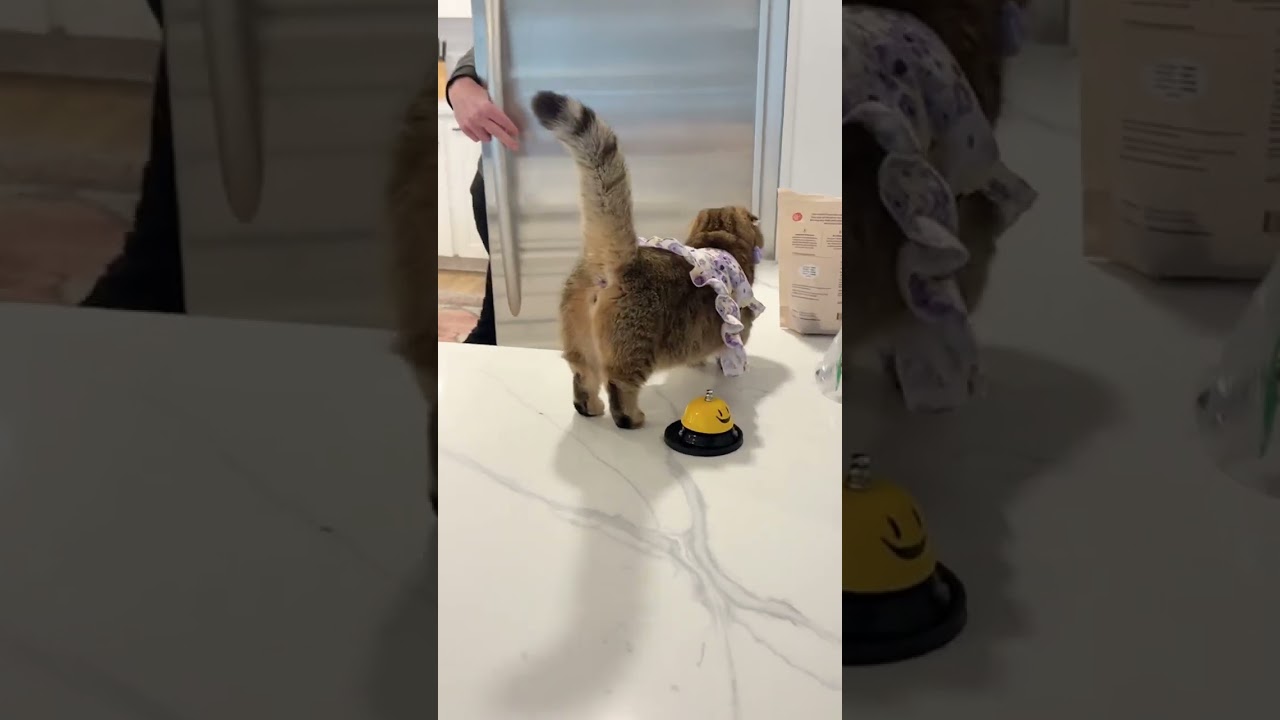 ОНА СДЕЛАЛА ЭТО!