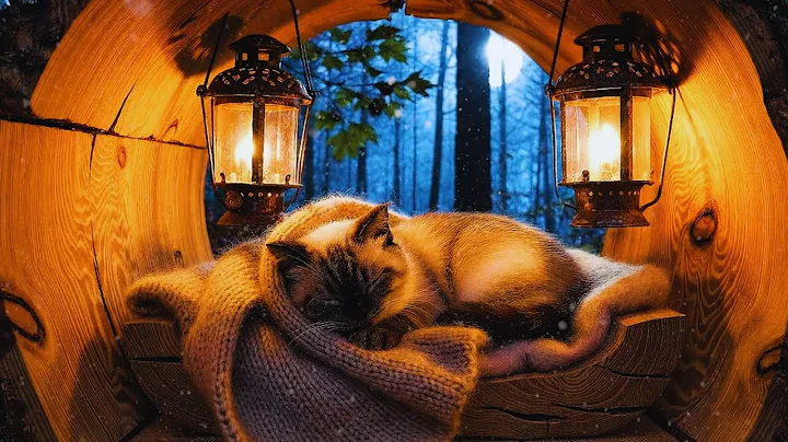 Watch the video about Siamese Cat's Cozy Hideout | Soothing Piano Music and ASMR Cat Purring & Warm Fireplace to Relax You