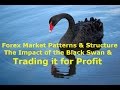 A Black Swan Event, No, It’s A Flock! - How To Trade During The Crisis!