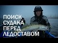 Ловля активного судака "вприглядку".