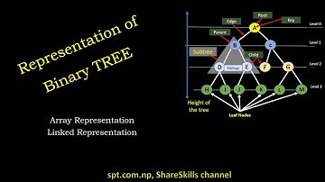 Array and Linked representation of Binary Tree with Child  & parent node calculation with examples