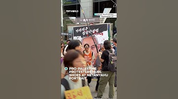 Pro-Palestine protesters hurl shoes at Netanyahu portrait in Seoul