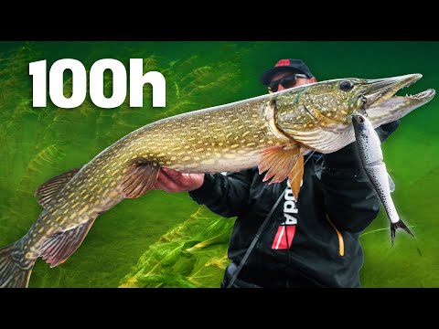 100 Hours To Catch The 10 BIGGEST Pike Day 3