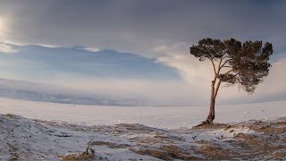 Фотоконкурс «По своей природе»