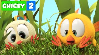 Onde está Chicky? TEMPORADA 2 | NA SELVA COM BEKKY | Desenhos Animados Infantil