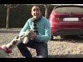 PERROS - ¿Cómo viajar con el perro en el coche? ¿Dónde debemos llevar a los perros pequeños?