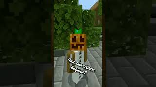 Автор: @Kikkadim #Minecraft #Майнкрафт #Анекдоты #Мем #Шортс #Shorts #Stu