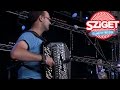 Shekoyokh live  sziget 2015