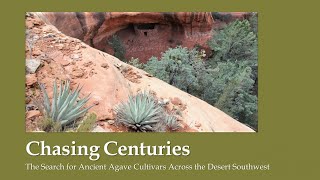 Chasing Centuries: The Search for Ancient Agave Cultivars Across the Desert Southwest