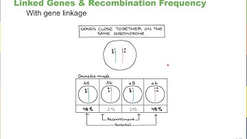 Chapter 13 Modern Understandings of Inheritance