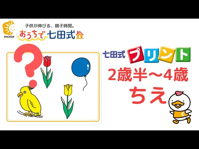 七田式　プリントC　幼児教育　家庭学習　ラクマパック送料無料