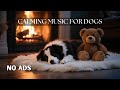 Dog Music for Anxiety Relief | Relaxing Sleep Music for Dogs