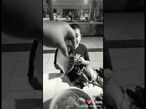 Cari ikan kartomarmo. Ada nya kartonyono medot janji - YouTube