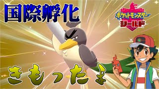 ポケモン剣盾 さぁ 冠の雪原よ来いッ カモネギ ガラルの姿 色違いでた ゆっくり実況 Youtube ポケモン剣盾 さぁ 冠の雪原よ来いッ カモネギ ガラルの姿 色違いでた ゆっくり実況 Youtube
