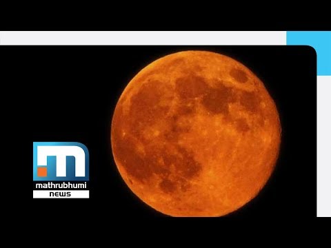 Video: Kaj Morate Vedeti O Januarski Super Blue Blood Moon