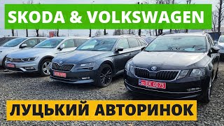 SKODA & VOLKSWAGEN В ОДНОМУ ВІДЕО //ЛУЦЬКИЙ АВТОРИНОК // 6.06.24р. #автопідбір #skoda #автобазар