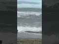 6月3日（水）午前6時15分撮影、和歌山県みなべ町海況。かなりうねっており、これなら海底からきれいにかき混ざるので、3日後には海のコンディションがよくなりそうです。