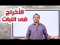 ٣ أحياء تانية ثانوى الترم الثاني الإخراج في النبات mp3
