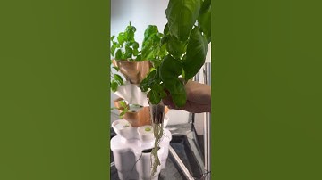 Ready for the wow factor? 😍