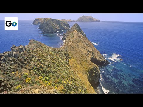 वीडियो: कैलिफोर्निया के चैनल द्वीप राष्ट्रीय उद्यान के लिए एक गाइड