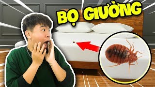 Hướng dẫn làm thế nào để TIÊU DIỆT rệp giường cùng Buron - BURON REACTION