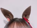 矢野妃菜喜  ウマ娘