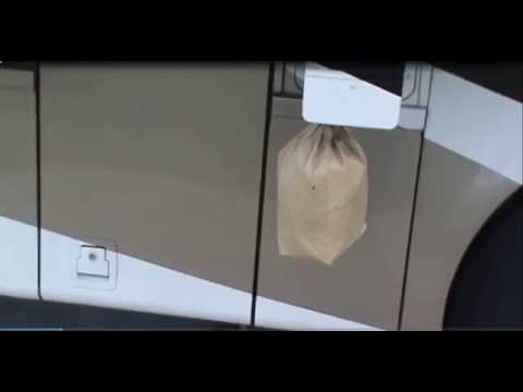 Wasps vs Paper Bag