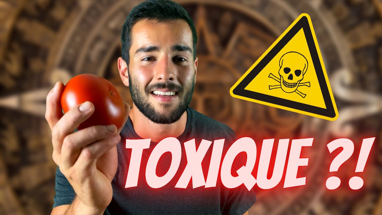 ORIGINES DE LA TOMATE : SON HISTOIRE