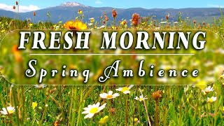 GOOD MORNING SPRINGNature Therapy to Start Your Day with Positive EnergyFresh Healing Meditation