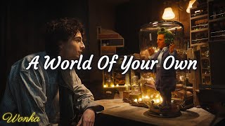 Video thumbnail of "A World of Your Own - Timothée Chalamet & The Cast of Wonka | WaterTower (Lyrics)"