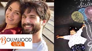 Romantic Shahid Kapoor Arranged Surprise Baby Shower Party For Loving Wife Mira Rajput