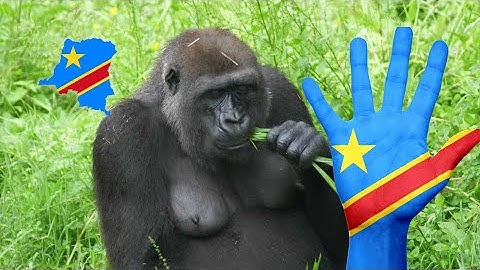 From Resources to Global Impact: The DRC’s Vision for Shared Prosperity