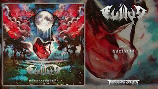 EVILYN (International) - Vacuous (Technical/Dissonant Death Metal) Transcending Obscurity Records