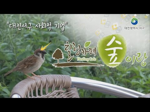 대전 서구 사회적 기업- 힐링카페