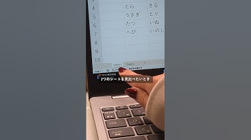 【Excel便利術】同じファイル内のシートを同時に確認できる！2つのシートを並べて確認する方法 #excel #仕事効率化