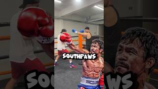 SOUTHPAWS 🔥🥊 #tutorial #boxing #boxingtraining #boxingtutorial #learntobox #viral #shorts