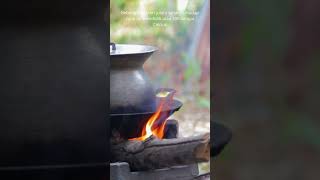 Baru Tahu, Air Mendidih Tidak Bunuh Bakteri #barutahu