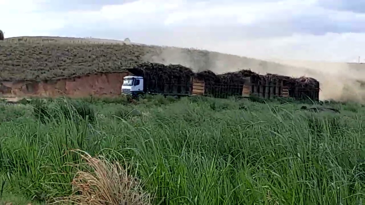 @EKS#CriadorDeConteúdos #carregamentodeCana. 