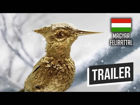 Videó: Új könyv: Miért nem a madarakról van szó?