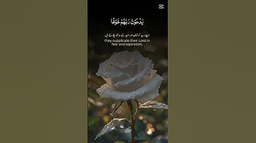 #سورة_السجدة#عبدالرحمن_مسعد  #المصحف #اكسبلور #قرآن #راحة_نفسية #قران_كريم #
