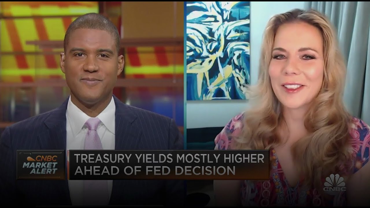 Federal Reserve Pause